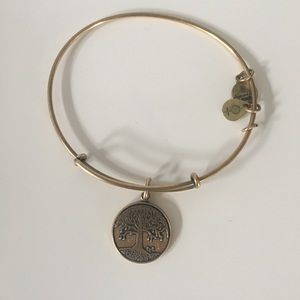 Alex and Ani Tree of Life Charm